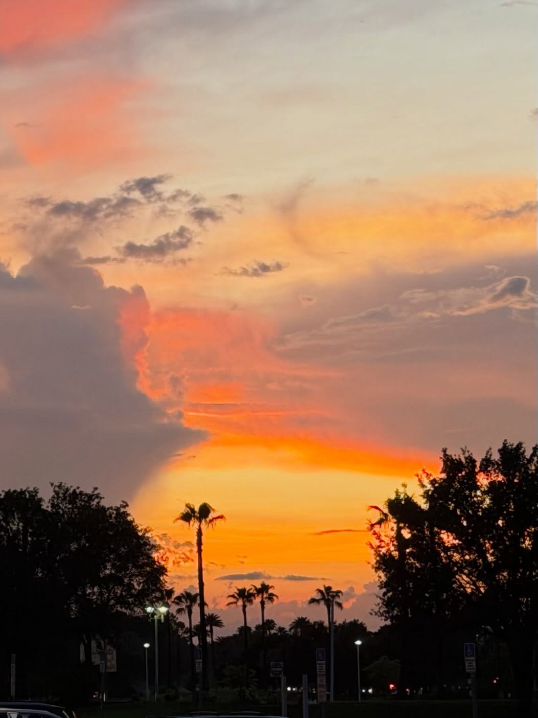Florida